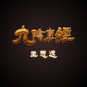 王思远 - 九阴真经