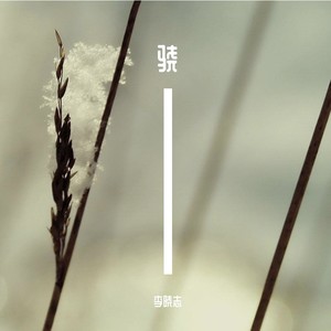 Ring Ring Ring (Acoustic)