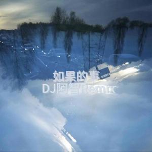 如果的事-DJ阿智