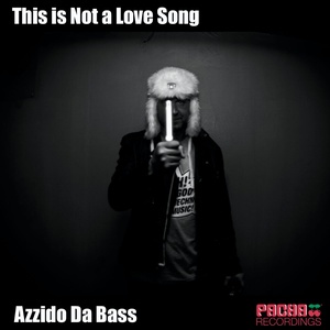 This is Not a Love Song (Dub Mix)