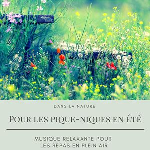 Pour les pique-niques en été: Musique relaxante pour les repas en plein air, dans la nature