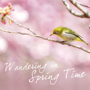 谢耀武 - 桃树花舞