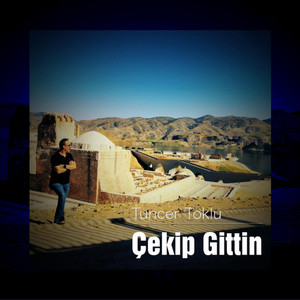 Çekip Gittin