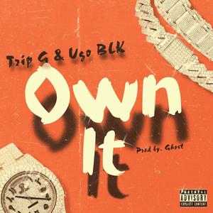 Own It (feat. Ugo BLK) [Explicit]