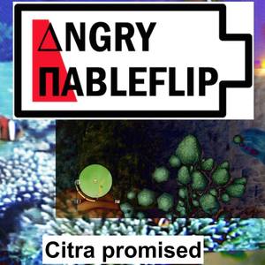 Citra Promised (Array)