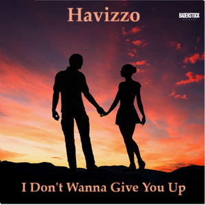 I Don't Wanna Give You Up