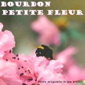 Petite Fleur