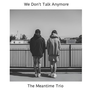 We Don't Talk Anymore (COVER版)
