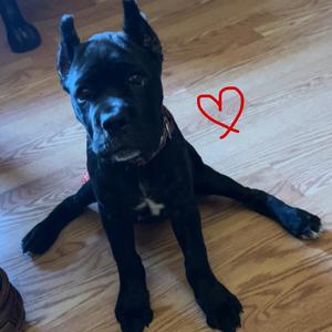 where you are isnt home (Acoustic)