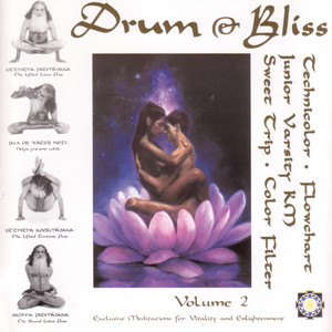 Drum & Bliss, Vol. 2