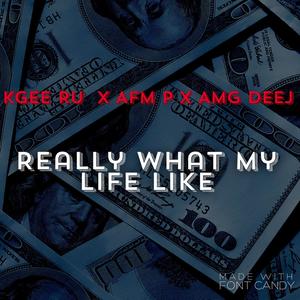 Really What My Life Like (Explicit)