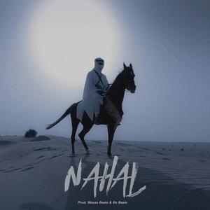 Nahal (feat. Bs Produktion)