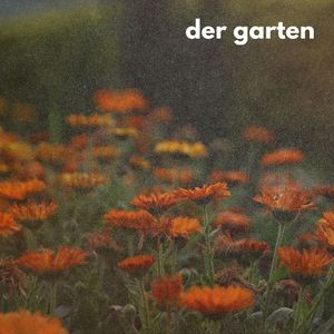 Der Garten