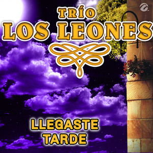 Llegaste Tarde