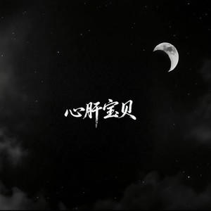 心肝宝贝<青春不悔版> - 刘雪宁封面