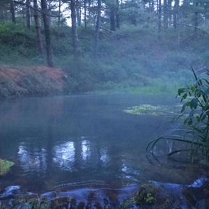 stranded. (Explicit)