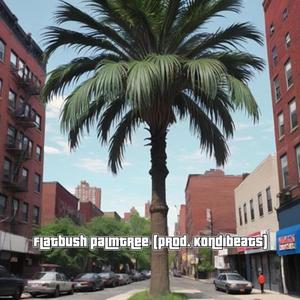 Flatbush Palmtree