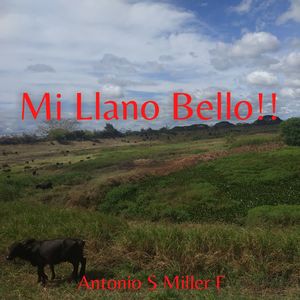Con Alma Llanera