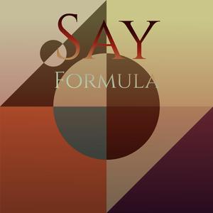 Say Formula