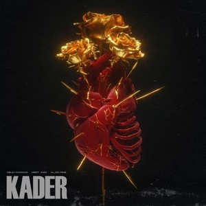 Kader