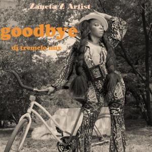 Goodbye (DJ Tremelo Mix)