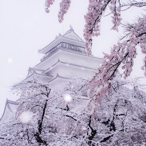 In Love封面