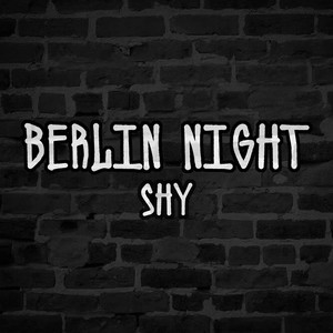 Berlin Night