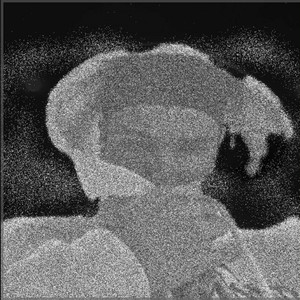 Proszę, nie (Explicit)