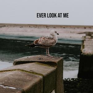 Ever Look At Me