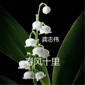 春风十里