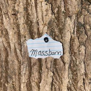 carranzzza - crazy (Explicit)