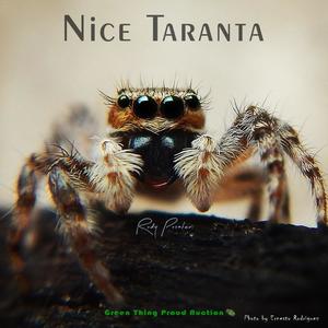 Nice Taranta (feat. Green Thing Proud Auction)