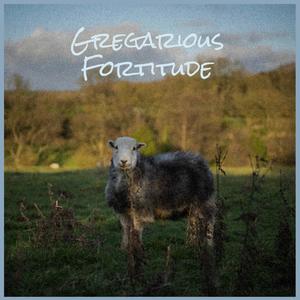 Gregarious Fortitude