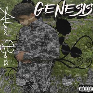 GENESIS (Explicit)