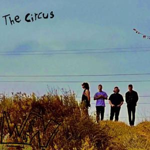 The Circus