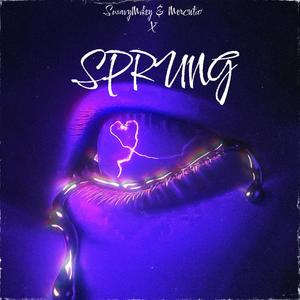 Sprung (feat. Bigg Boo & Mercutio X) [Explicit]