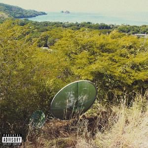 Losing Signal (Explicit)