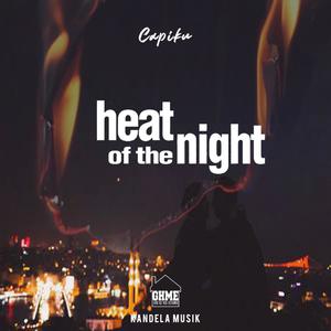 Heat of the Night (feat. Tone G. Music)