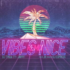 Vibes Nice (DJ Express Remix)