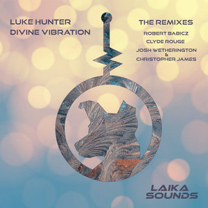 Divine Vibration Remixes