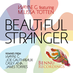 Beautiful Stranger[Wayne G & Andy Allder Instrumental]