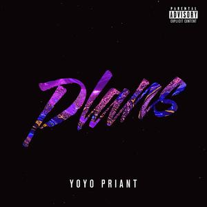 Plans (Explicit)