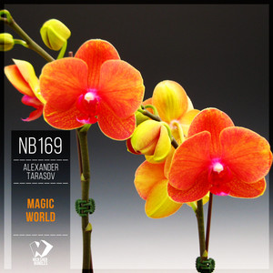 Seeing Stars (Original Mix)