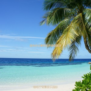 适合办公室工作安静的音乐