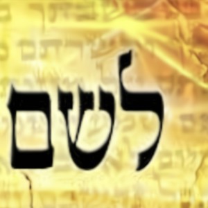 Unification Song: Yichud(feat. Miriam Rubin)