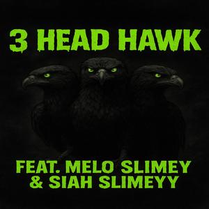 3 head Hawk (feat. Siah Slimeyy & Melo Slimey) (Explicit)