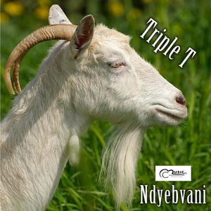 TRIPLE T (ndebvani) (feat. Dr nhanha & President manyikosi)