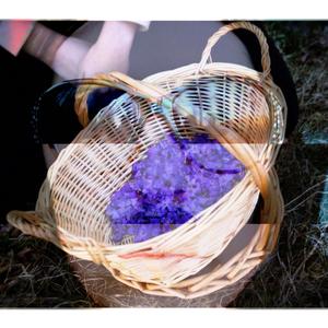 BASKET (feat. Marlon DuBois, Milkreset & Henry Mosto)