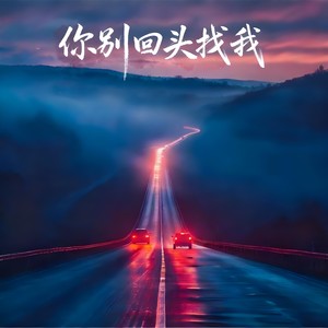 你别回头找我