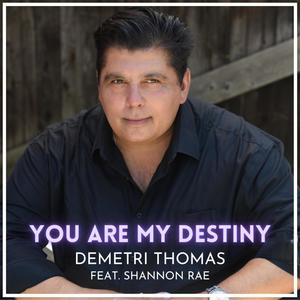 You Are My Destiny (feat. Shannon Rae)